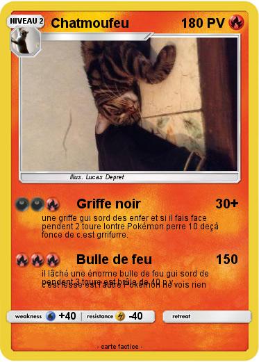 Pokemon Chatmoufeu