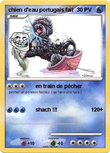 Pokemon chien d'eau portugais fail