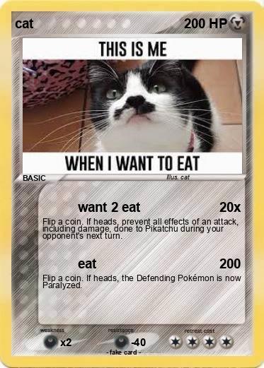 Pokemon cat