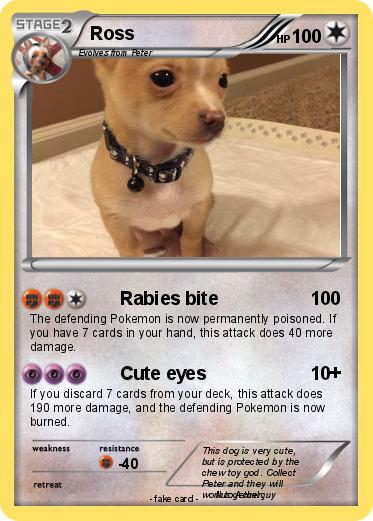 Pokemon Ross