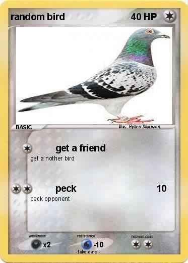 Pokemon random bird