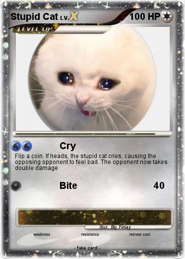 Pokemon Stupid Cat