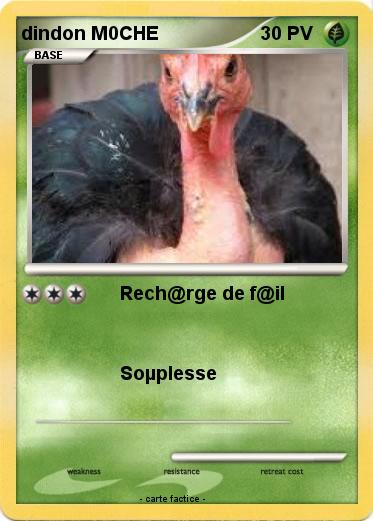 Pokemon dindon M0CHE