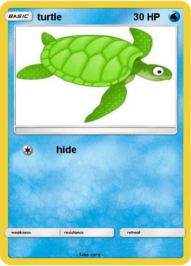 Pokemon turtle