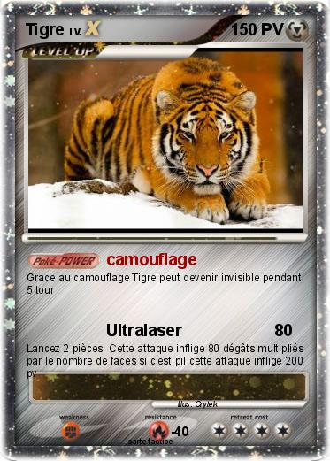 Pokemon Tigre