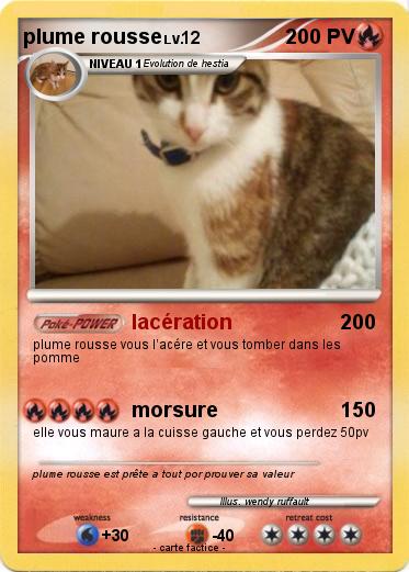 Pokemon plume rousse