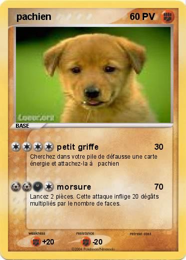 Pokemon  pachien                                                                                     