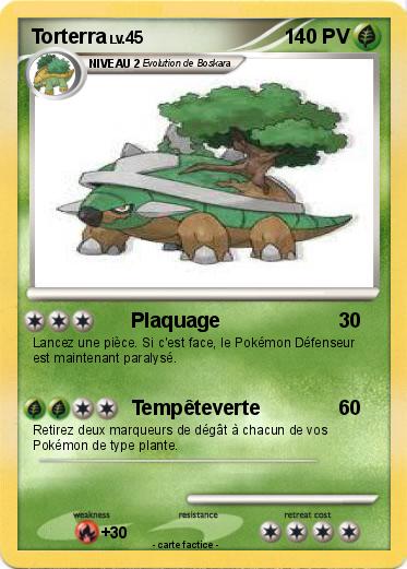 Pokemon Torterra