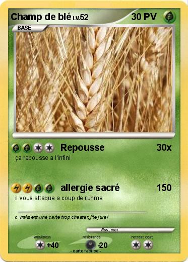 Pokemon Champ de blé