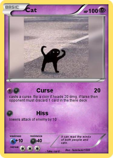 Pokemon Cat