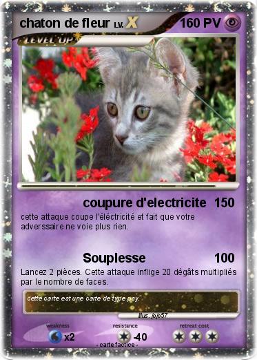 Pokemon chaton de fleur