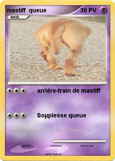 Pokemon mastiff  queue