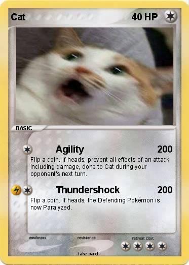 Pokemon Cat