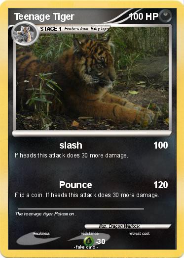 Pokemon Teenage Tiger