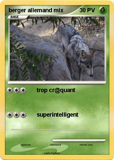 Pokemon berger allemand mix