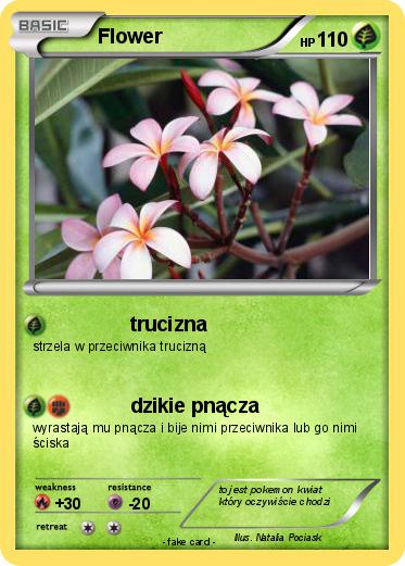 Pokemon Flower
