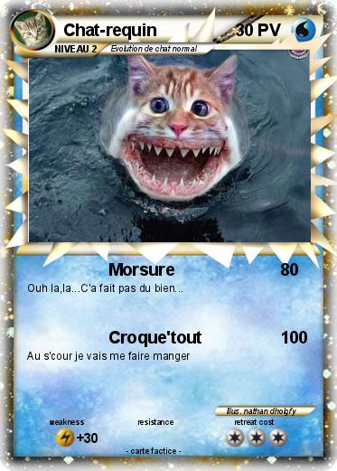 Pokemon Chat-requin