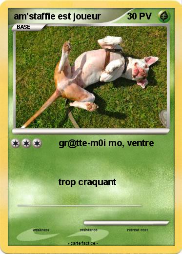 Pokemon am'staffie est joueur