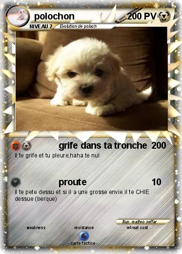 Pokemon polochon