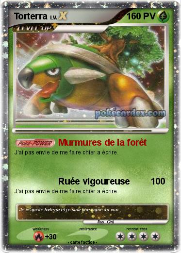 Pokemon Torterra