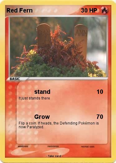 Pokemon Red Fern