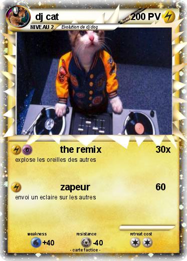 Pokemon dj cat