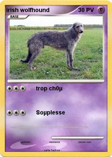 Pokemon irish wolfhound