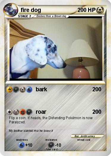 Pokemon fire dog
