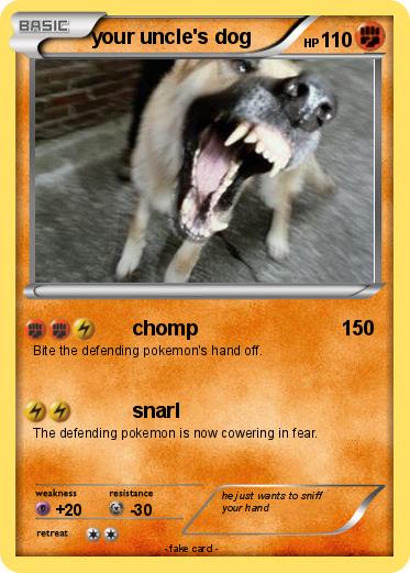 Pokemon your uncle's dog