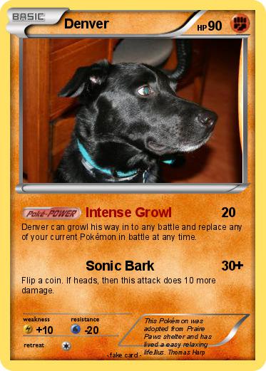 Pokemon Denver