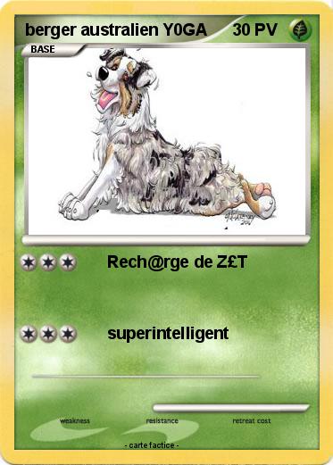 Pokemon berger australien Y0GA