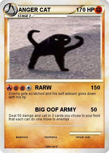 Pokemon ANGER CAT
