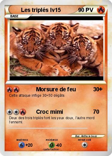 Pokemon Les triplés lv15