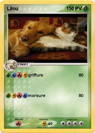 Pokemon Lilou