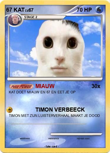 Pokemon 67 KAT