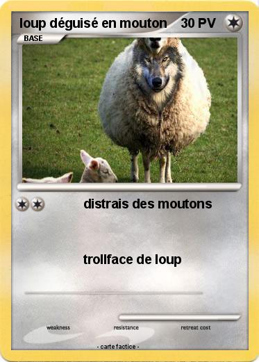 Pokemon loup déguisé en mouton