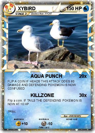Pokemon XYBIRD
