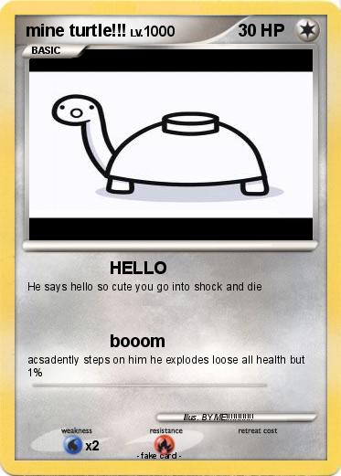 Pokemon mine turtle!!!