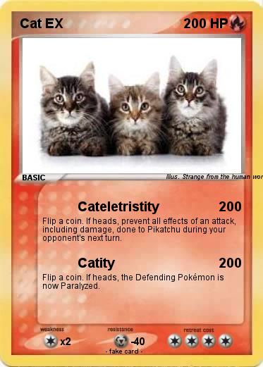 Pokemon Cat EX