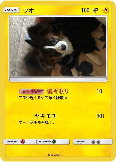 Pokemon ワオ