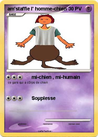 Pokemon am'staffie l' homme-chien