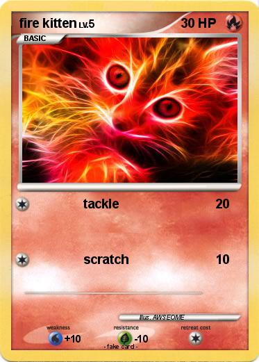 Pokemon fire kitten