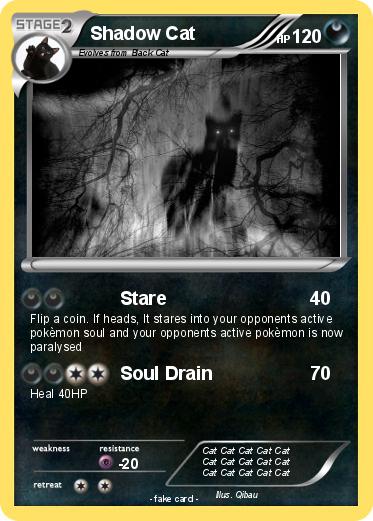 Pokemon Shadow Cat