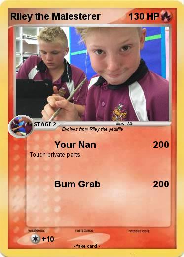 Pokemon Riley the Malesterer
