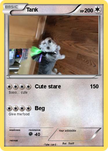 Pokemon Tank