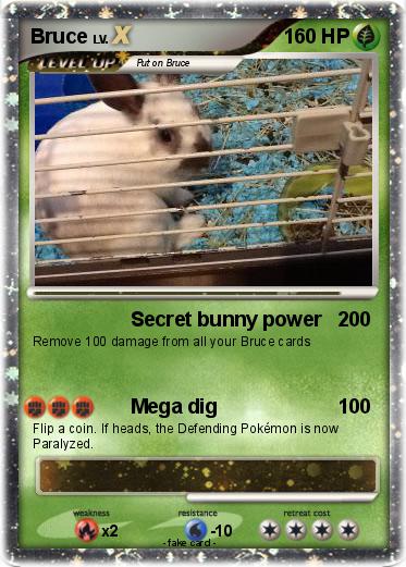 Pokemon Bruce