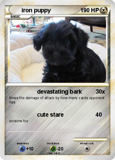 Pokemon iron puppy