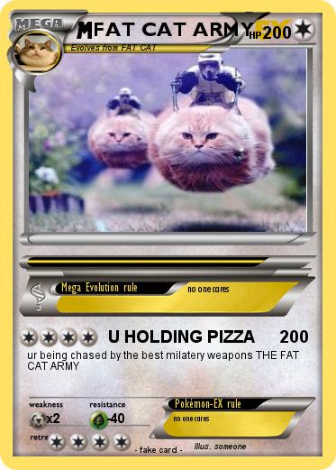 Pokemon FAT CAT ARMY
