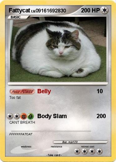 Pokemon Fattycat