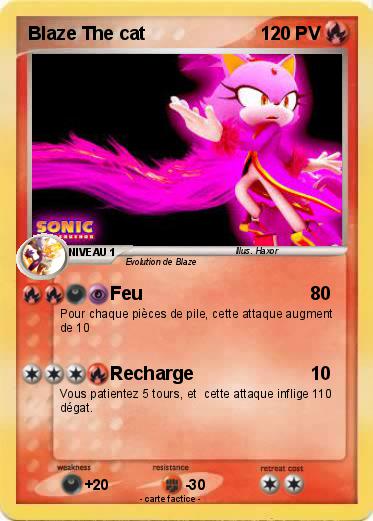 Pokemon Blaze The cat